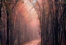 金年会jinnianhui首页：亚冬会｜“雄鸡之冠”的冰雪荣耀.