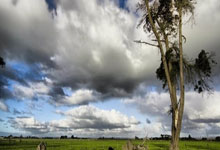 金年会：郭田雨能否出國踢球取決於足協是否會向亞足聯報備禁足令.