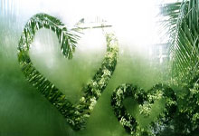 金年会：CBA常规赛：辽宁本钢胜新疆伊力特.