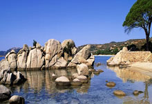 DeepSeek“受害者”出现：大量病人拿AI质疑医生，医生要被替代？.